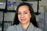 Dr. rer. nat. Fazilet Bekbulat