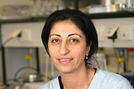  Gül Yildiz