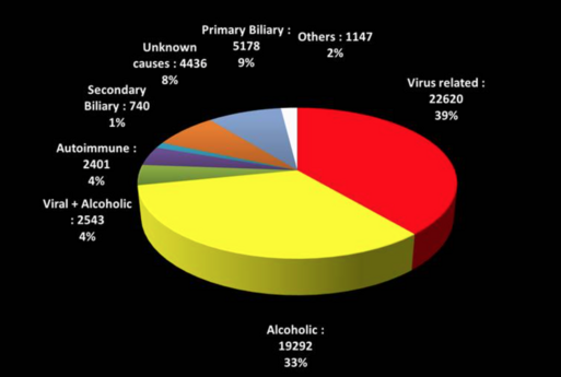 Zirrhoseursachen, 1988 - 2013, Quelle: ELTR