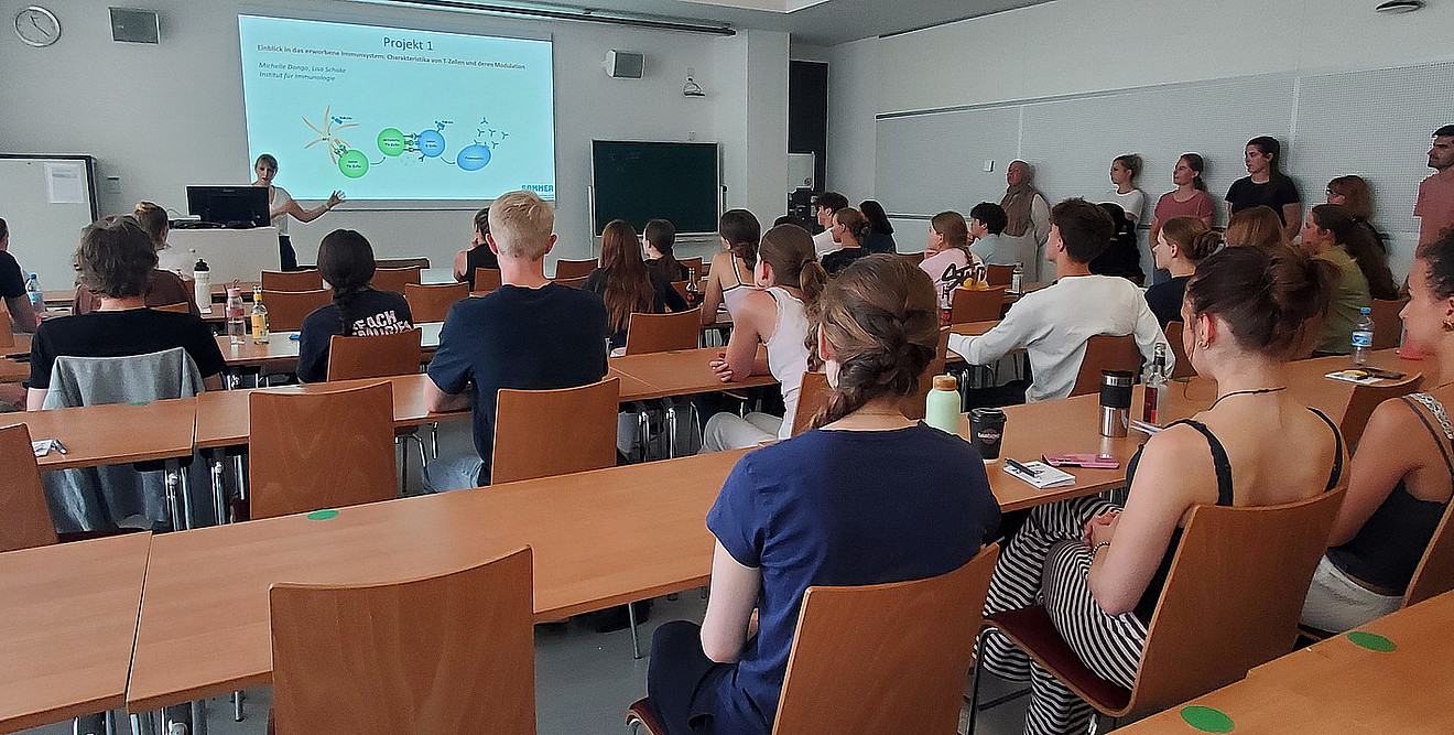 SommerUni Projekte