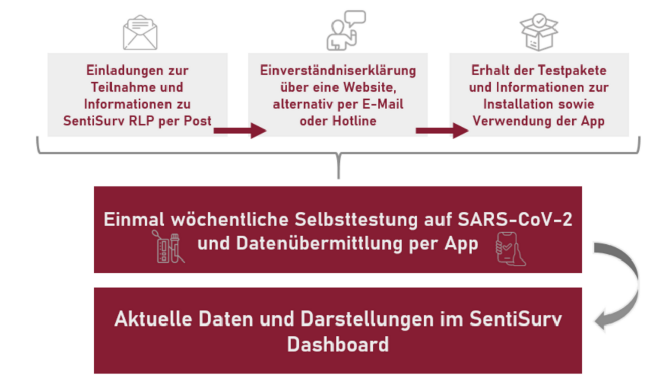 Umsetzung SentiSurv RLP