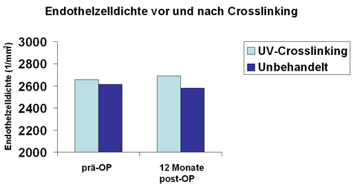 Endothelzelldichte