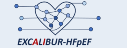 Logo Excalibur