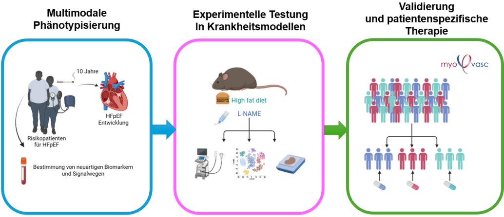 Translationale Zielsetzung
