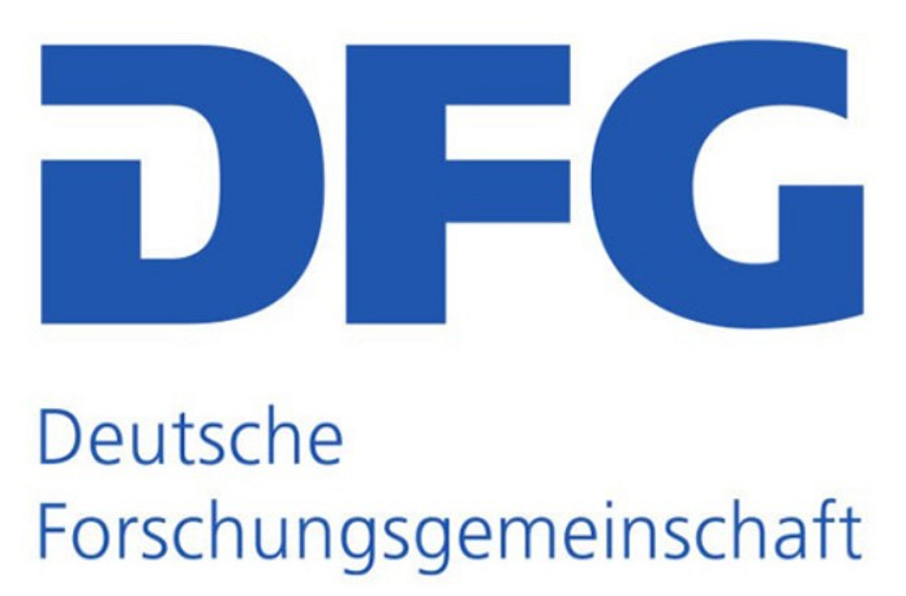 dfg logo