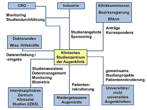 Organigramm des Studienzentrums