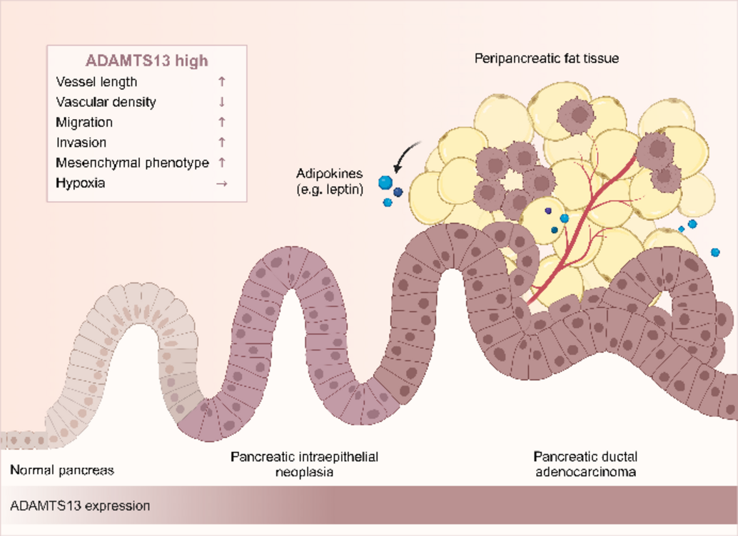 Immunpatho3