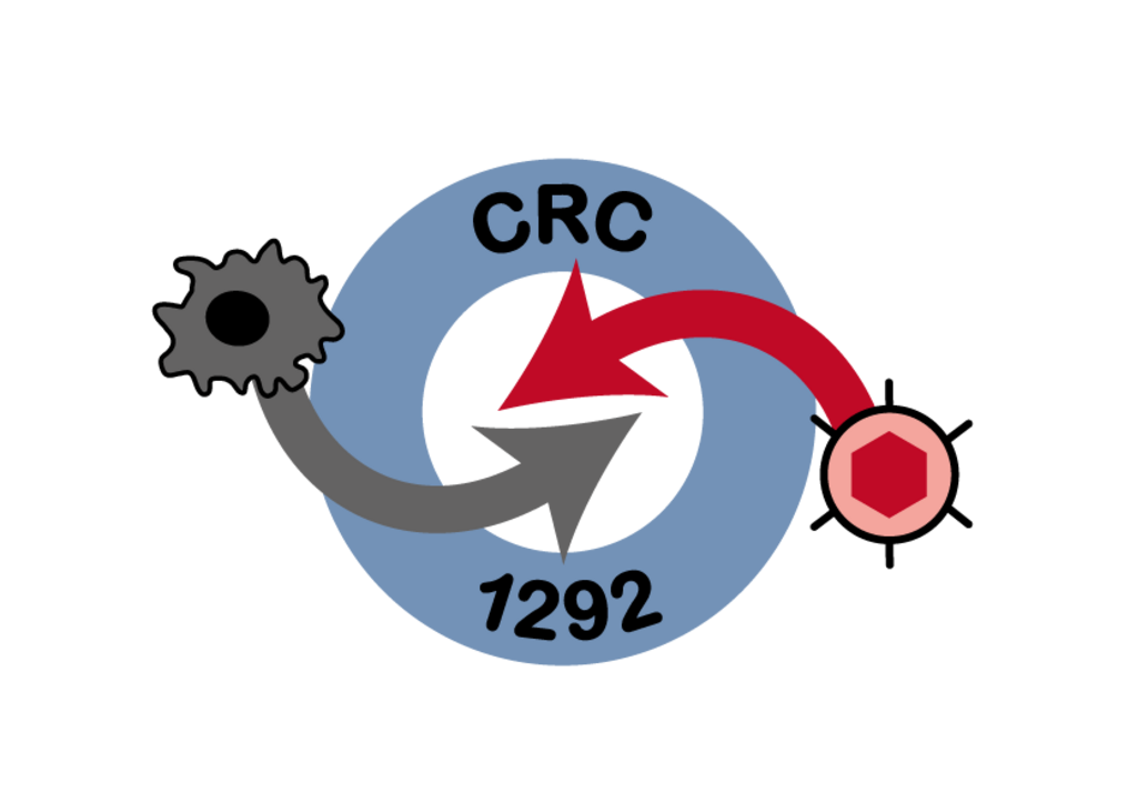 CRC 1292