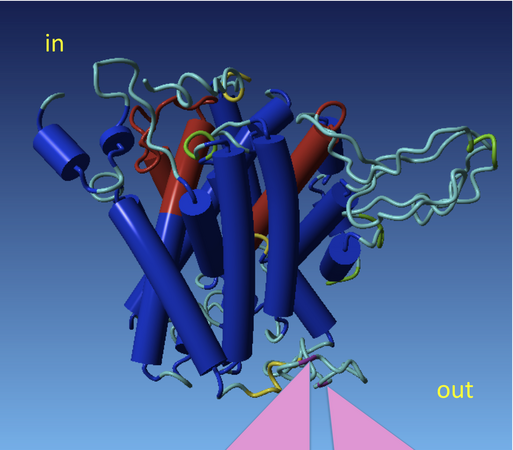 hCAT1