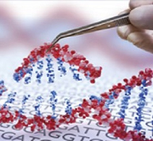 Molecular Diagnostics & Early Detection