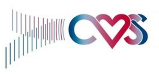 CVSS