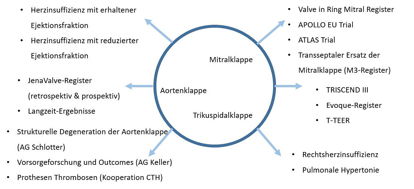 Herzklappentherapien