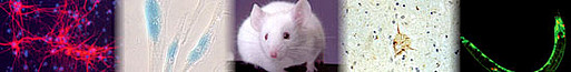 Banner01