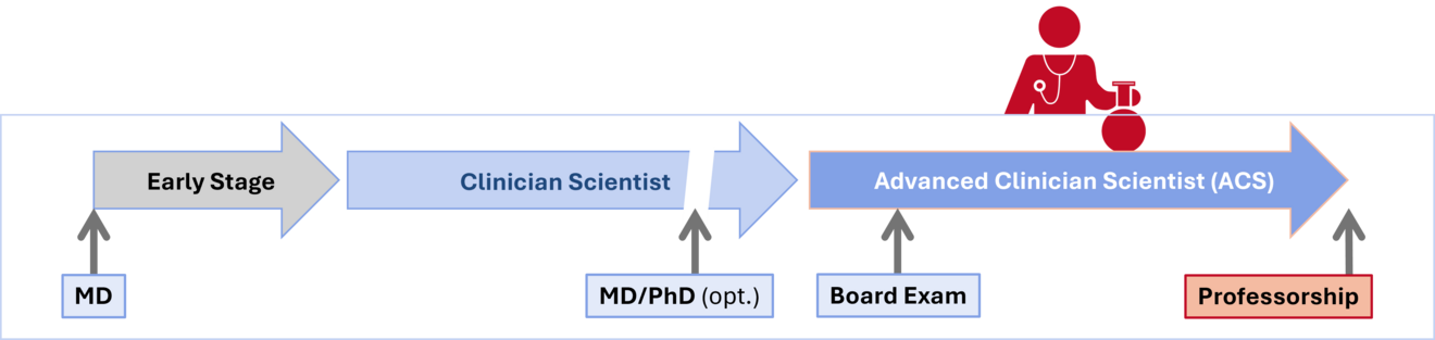 Clinician Scientist Grafik