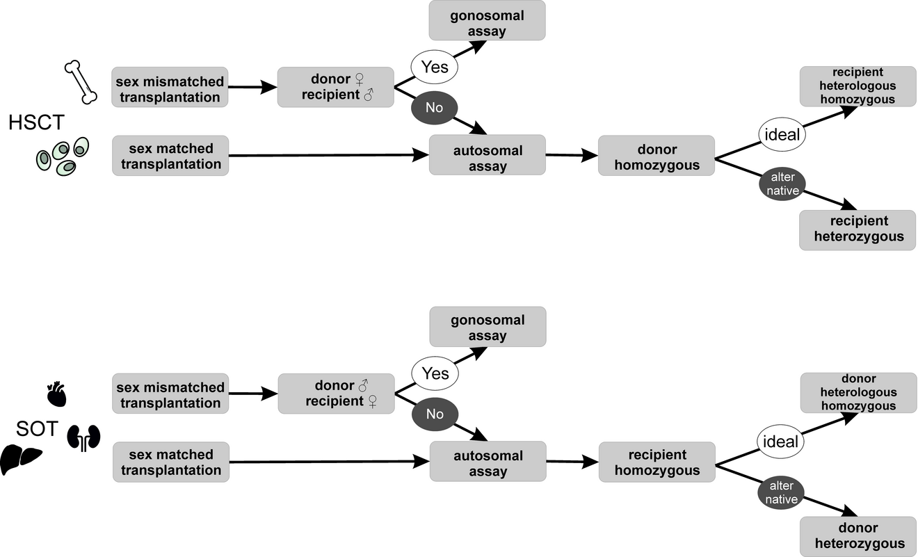Flowchart for selecting assays to quantify microchimerism following stem cell or organ transplantation