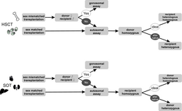 Häuser Projekt 2