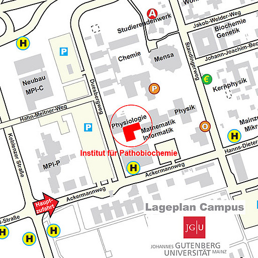 Lageplan Institut für Pathobiochemie