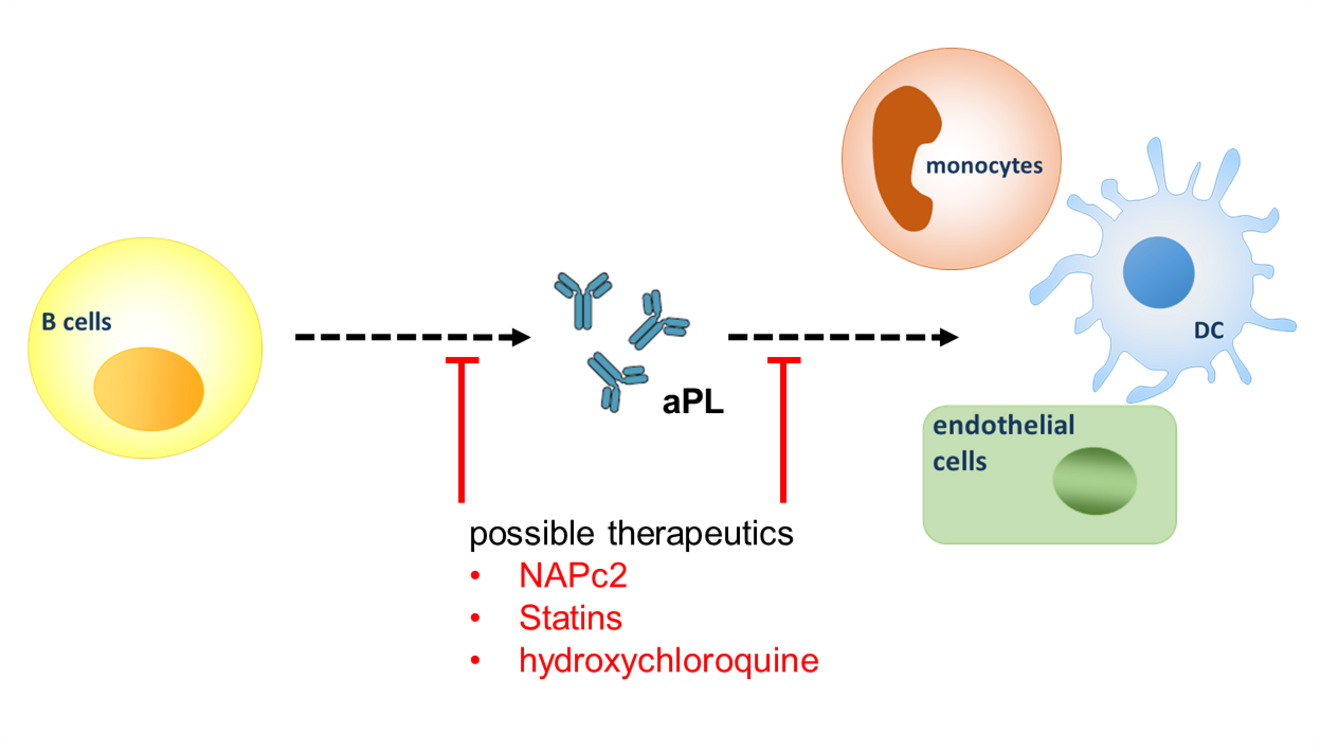 Treatment options for aPL