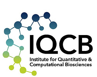 IQCB