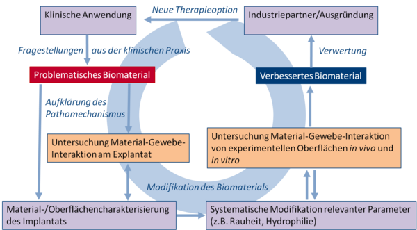 Forschungskonzept der BiomaTiCS-Gruppe