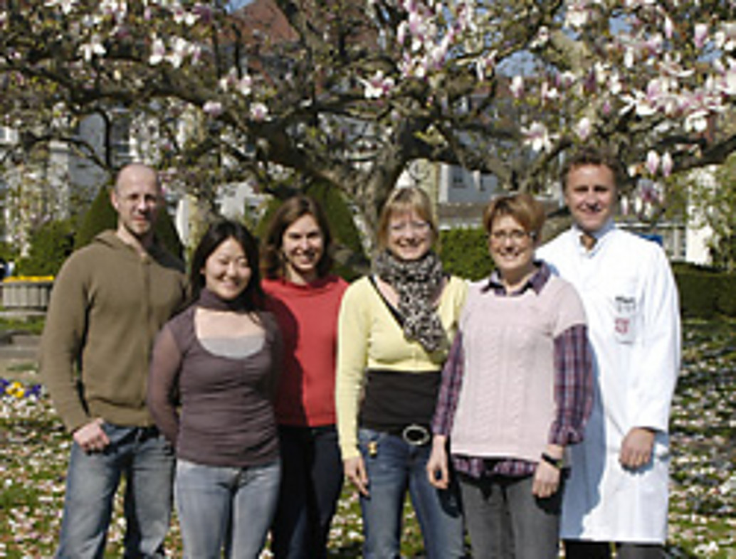 Team Prof. Dr. Grabbe