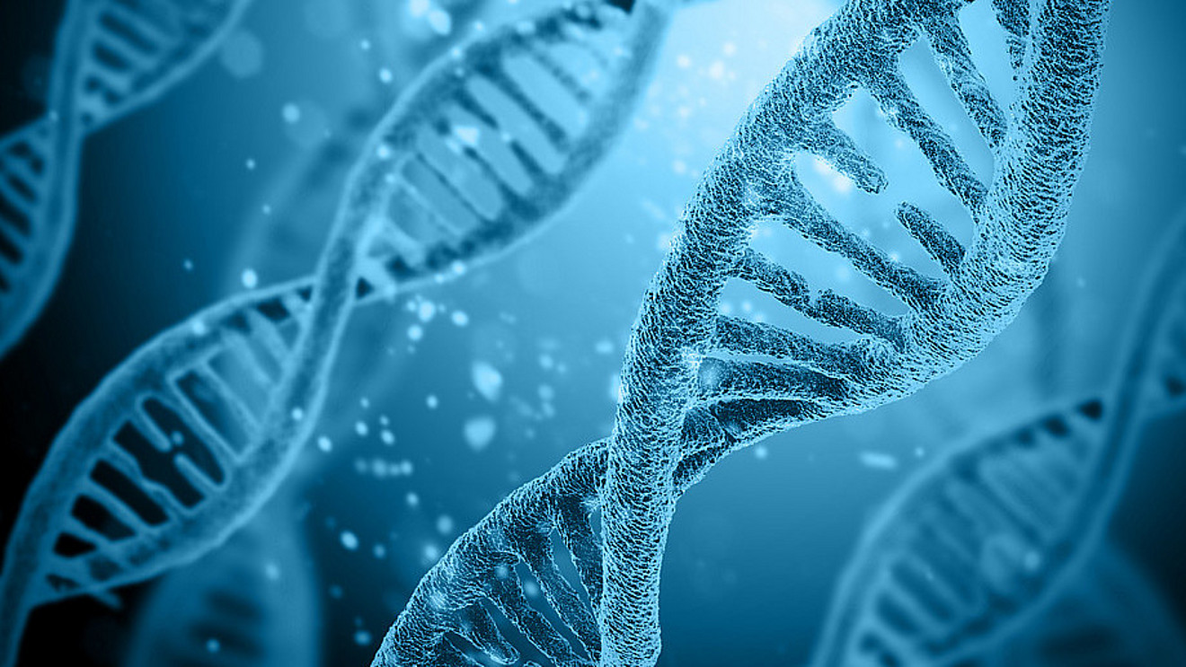 DNA-Stränge