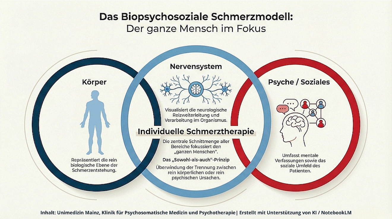 Schmerzmodell