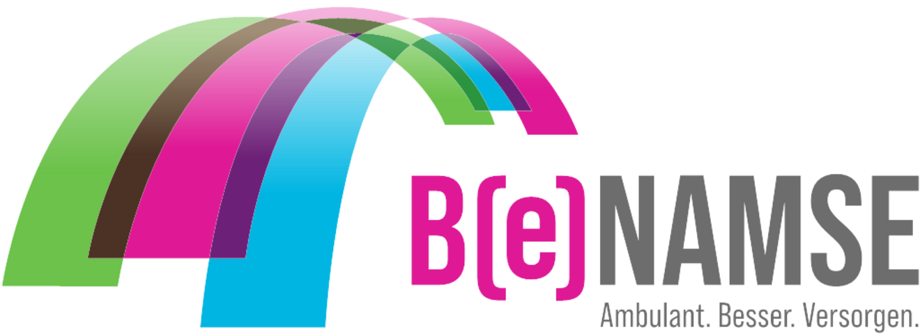Offizielles Logo BeNAMSE
