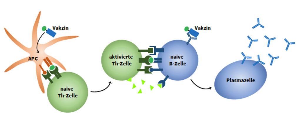 Grafik Projekt 1