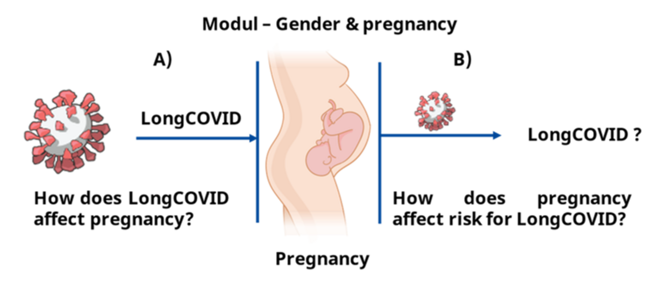 We want to address a) how longCOVID is affecting pregnancy and b) how pregnancy is affecting the risk to develop longCOVID through its immunomodulatory nature.