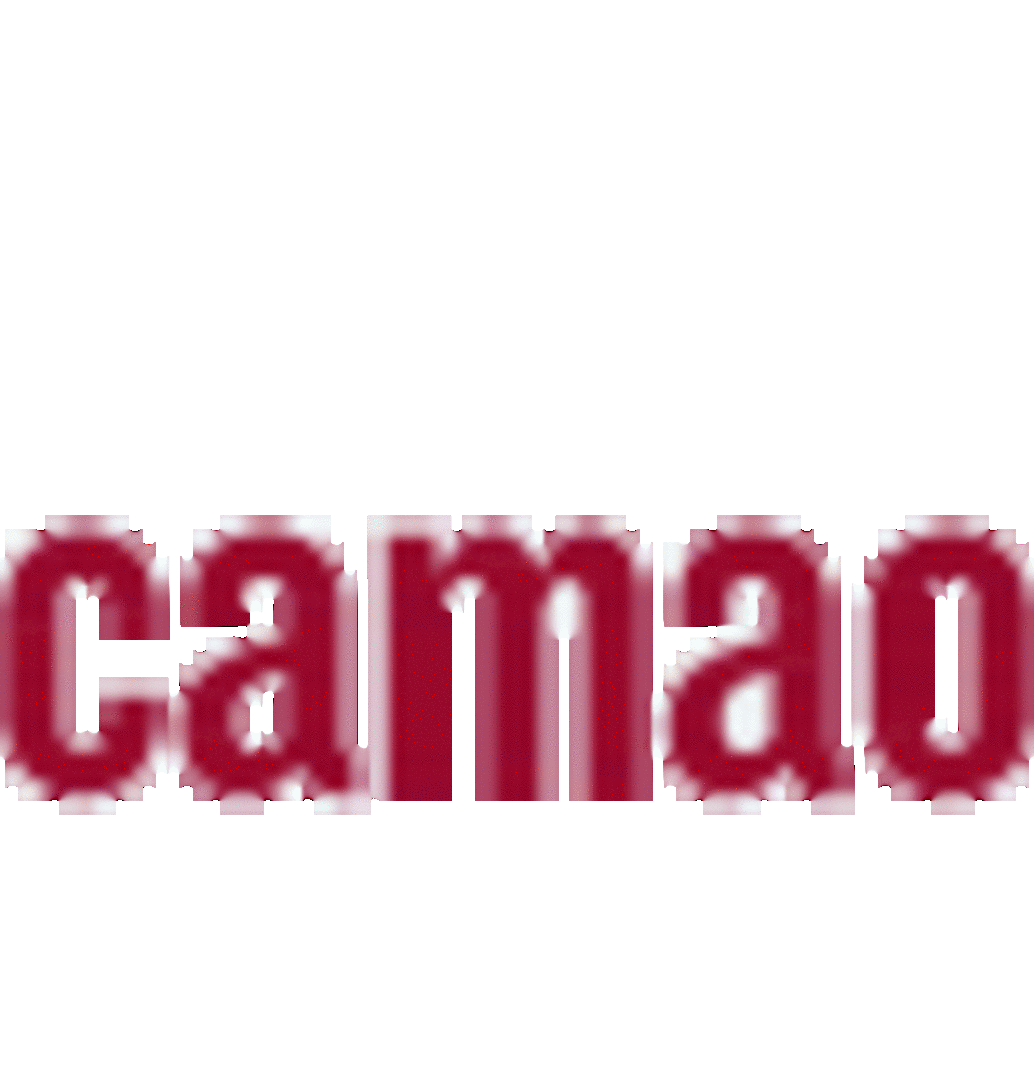 logo camao
