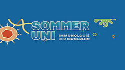 Banner SommerUni 2025