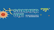 Banner SommerUni 2025