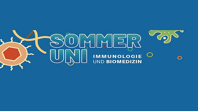 Banner SommerUni 2025