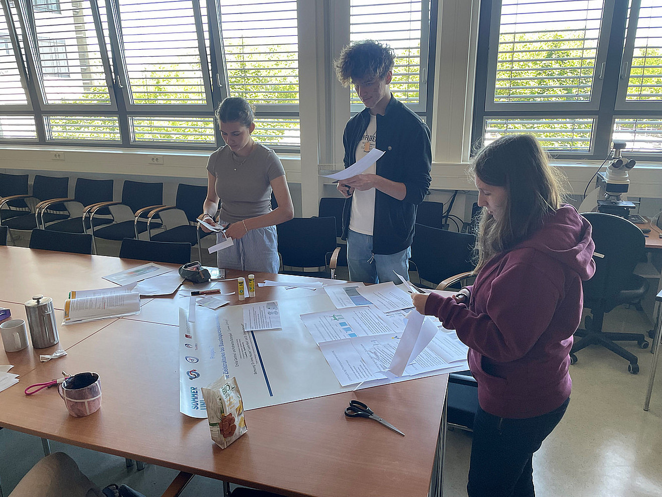 SommerUni Postererstellung