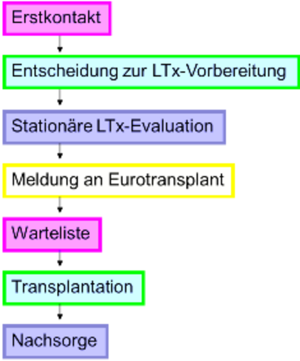 Behandlungspfad Lebertransplantation