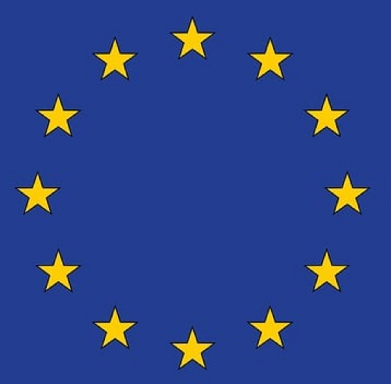 EU Logo