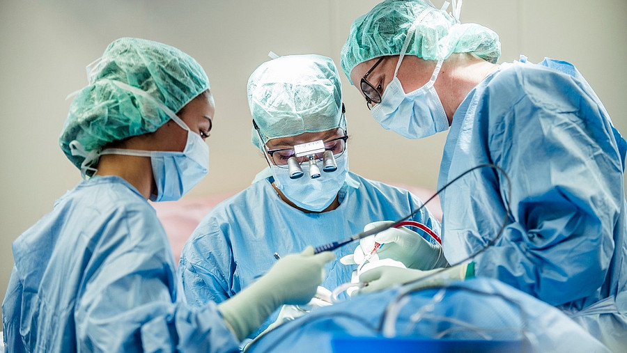 Dr. Dr. Saskia Schröger im OP