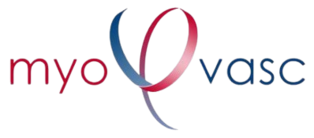 Myovasc