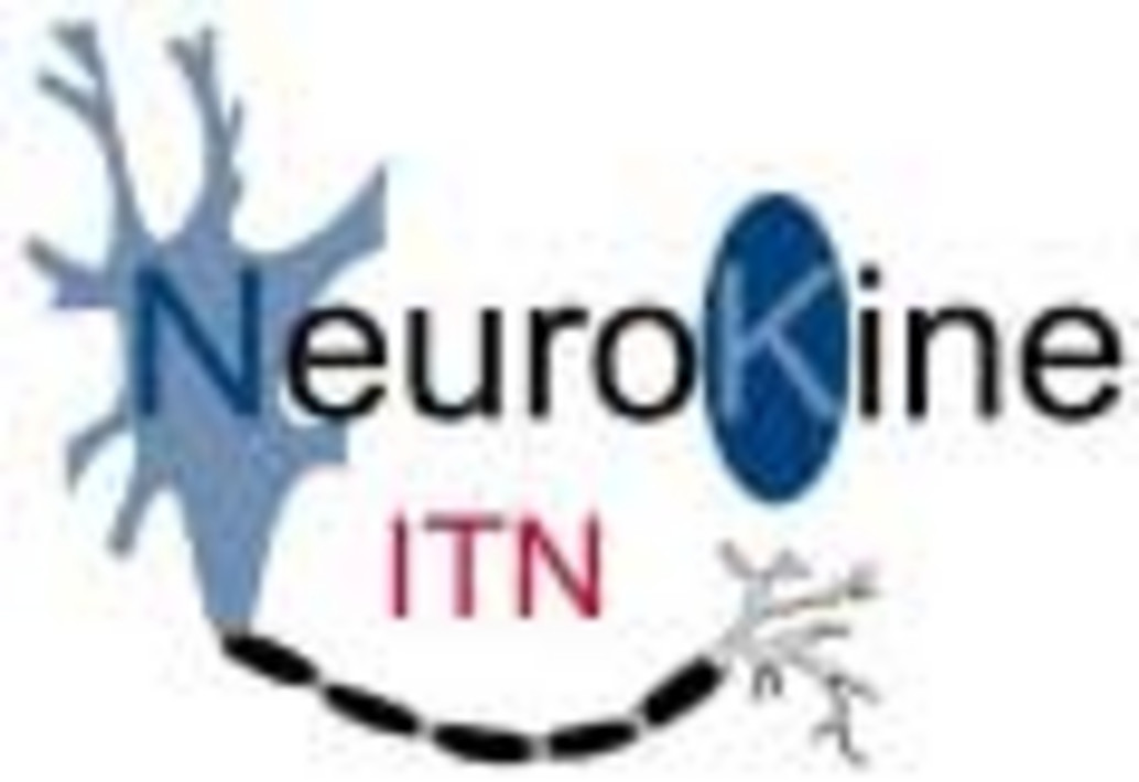 Neurokine