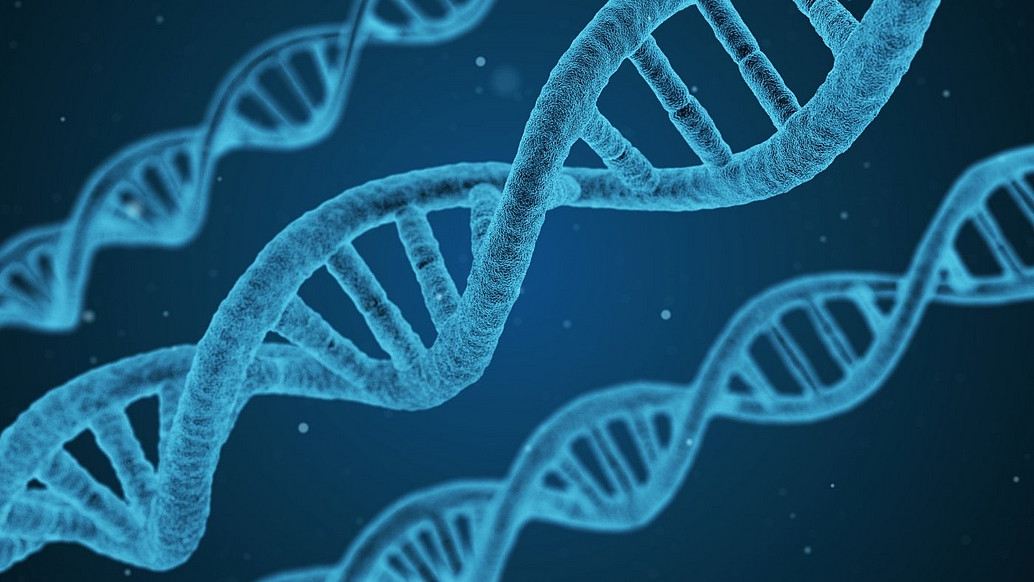 DNA