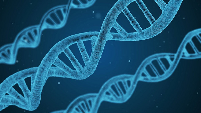 DNA