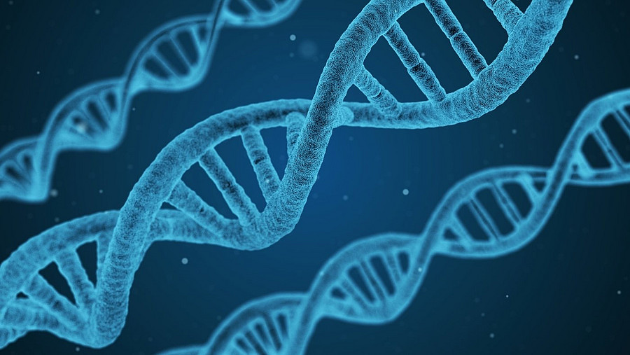 DNA