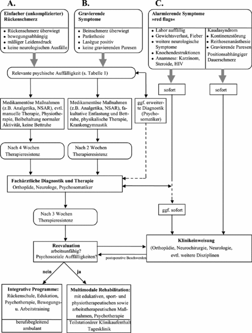 Diagnostischer und therapeutischer Algorithmus bei LWS-Schmerz