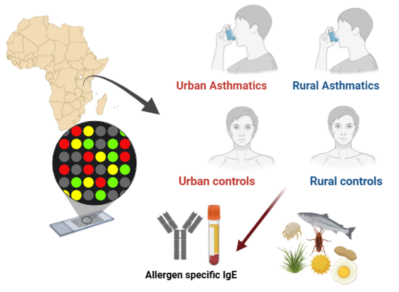 Molecular allergen sensitization profiles among urban and rural asthmatics in Tanzania