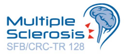 SFB CRC 128