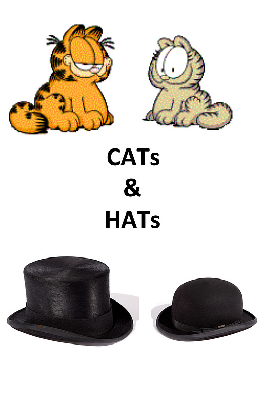 Cats and Hats