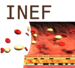 INEF