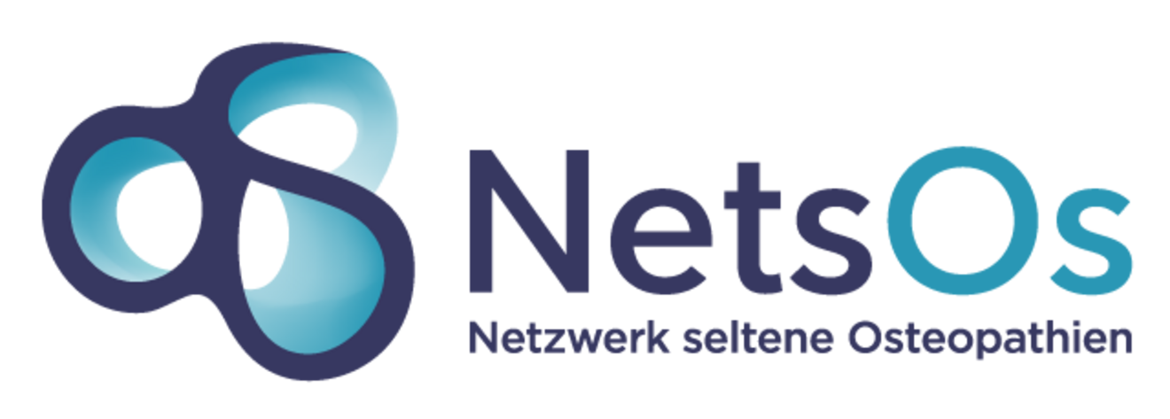 NetsOS Logo