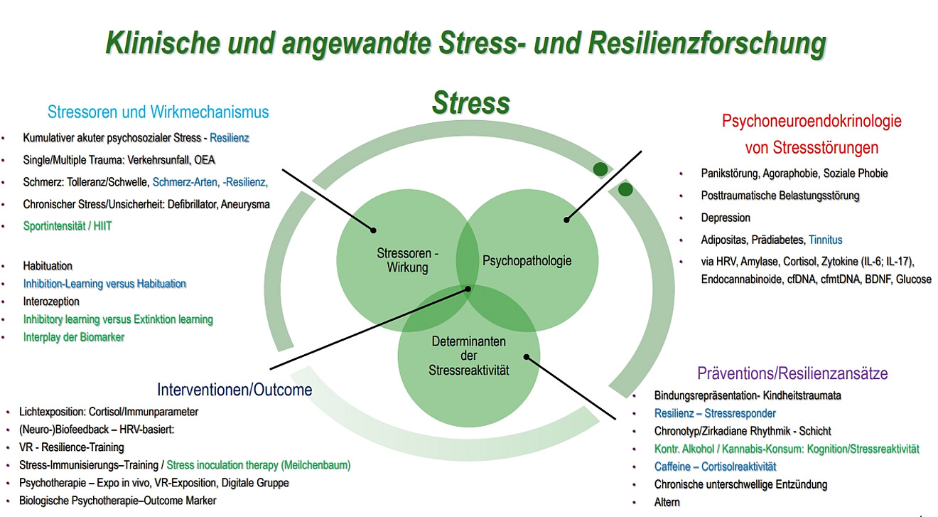 Forschungskonzepte MPMS